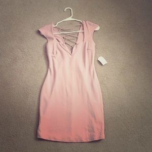 Charlotte Russ Dress
